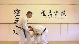 teisho uke Bunkai Strategies 2019 week 16 koryu karate oyo jutsu [upl. by Felix]