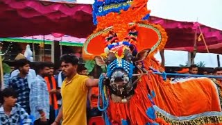 hori habba  best hori in Karnataka  ಹೋರಿ ಹಬ್ಬ [upl. by Raymonds]