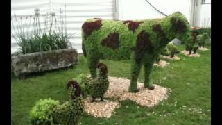 Custom Topiary Art Forms from TopiaryTreenet [upl. by Awad675]