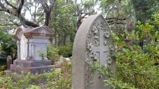 Bonaventure Cemeterys Underground Grotto Chapels [upl. by Ihsakat]