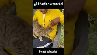 Bolane wali billi bolane wali 🐈 shortvideo short real [upl. by Sanfred]