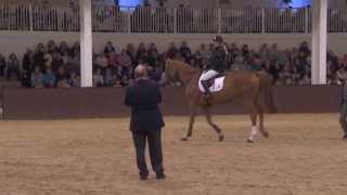 Showjumping  Laura Renwick MasterclassYoung Horses [upl. by Onaicul]