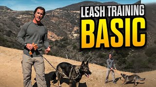 Leash Training Your Dog Part 1 Using a Long Line and Treats  Dog Training Video [upl. by Creedon]