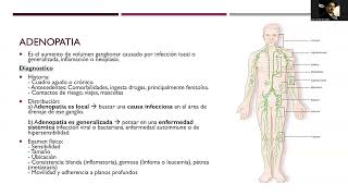 Hematología 10 Síndrome Linfoproliferativo [upl. by Sirraf]