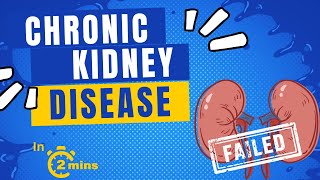 Chronic Kidney Disease  Causes and Clinical Manifestations  in 2 mins [upl. by Nakasuji]