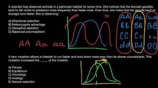 Balanced polymorphism Disruptive selection Heterozygous advantage Directional selection [upl. by Fazeli75]