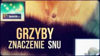 Sennik Grzyby  Zrozumienie i Interpretacja Snów o Grzybach  Sennikbiz [upl. by Rawlinson398]