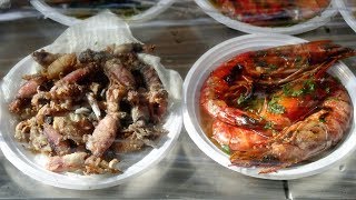 Costa Palermo Street Food [upl. by Anasus]