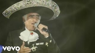 Vicente Fernández Mariachi México de Pepe Villa  Aprendiste A Volar Audio [upl. by Jedlicka818]