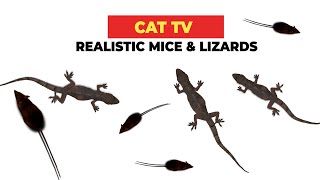 REALISTIC CAT GAME FOR CATS 🐈 Realistic Mice and Lizards for Cats to Watch [upl. by Ardnasal]