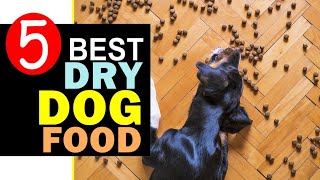 Best Dry Dog Food 2024 🏆 Top 5 Best Dry Dog Food Reviews [upl. by Alaehs466]