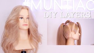 Layered Haircut  DIY 3 Simple Steps [upl. by Hayarahs]