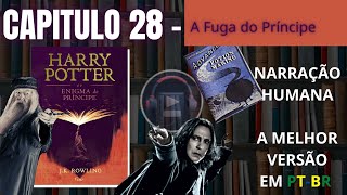 Harry Potter e o Enigma do Príncipe ⚡ CAPITULO 28 Audiolivro em PTBR [upl. by Atwekk]