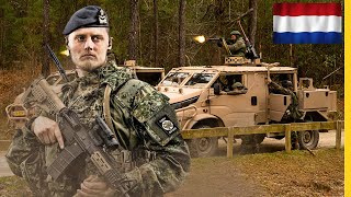 Review of All Netherlands Armed Forces Equipment  Quantity of All Equipment [upl. by Doowron860]