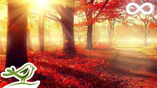 Beautiful Romantic Music Relaxing Music Piano Music Violin Music Guitar Music Sleep Music ★101 [upl. by Yttel]