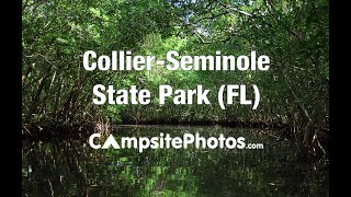 CollierSeminole State Park Florida Campsite Photos [upl. by Naloc]