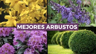 7 Mejores ARBUSTOS para el jardín 🌳¡FÁCILES de CUIDAR [upl. by Llecrup518]