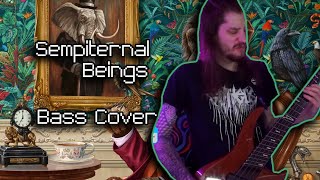 Sempiternal Beings  Haken Bass Cover [upl. by Anabella134]