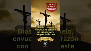 Santo Rosário  40 dias com São Miguel Arcanjo  Oração Consagração da Vida Financeira Domingo 25 de Agosto FreiGilson freigilsonsomdomonte rosário sãomiguelarcanjo 40diascomsãomiguelarcamjo rezando mensagemdereflexão palavradedeus mensagemdefé igrejacatolica meditaçãodapalavra direcaoespiritual cantando louvando [upl. by Ehrman]