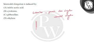 Internodal elongation is induced by [upl. by Nyad989]