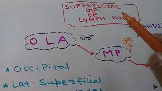 FOR MBBS LYMPH NODES OF NECK  MNEMONICS [upl. by Fatima939]