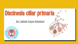 Discinesia ciliar primaria [upl. by Ainesy]