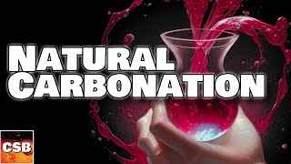 Natural Carbonation Explained Carbonating Mead Wine Cider and Beer [upl. by Nibuz]