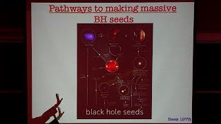 Planting Seeds Assembling the First Black Holes in the Universe  Priya Natarajan [upl. by Ari]