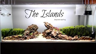 Aquascaping THE ISLANDS [upl. by Garfinkel]