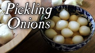 Pickling Onions Made Easy  Historical Food Preservation [upl. by Harat]