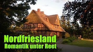 Ferienwohnung mit Hund an der Nordsee  Romantik unter Reet [upl. by Allard621]