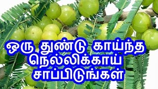 TamilTamil NattuTamil Nattu MaruthuvamTamil Siddha MaruthuvamTamil Natural MedicineSiddha [upl. by Opiuuk]