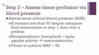 Severe Sepsis and Septic Shock Protocols [upl. by Elinore]