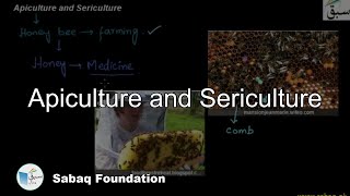 Apiculture Sericulture Biology Lecture  Sabaqpk [upl. by Tsnre]