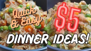 5 DINNER IDEAS Feed the family for less Quick amp Easy week night meal ideas  Budget Friendly [upl. by Koal]