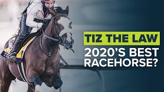 TIZ THE LAW  BELMONT STAKES TRAVERS STAKES BREEDERS CUP CLASSIC [upl. by Strephon]