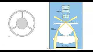 Dark field Microscope [upl. by Hamrnand]