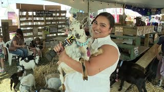 Preview Day at the Bloomsburg Fair [upl. by Sueahccaz]