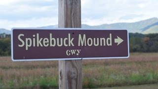 Quanassee Path To Spikebuck Mound  Quanassee Town Site  Hayesville NC [upl. by Edaw]