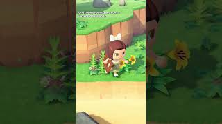 Does blushing to Orville actually work animalcrossingnewhorizons animalcrossing cozygaming [upl. by Daffy]