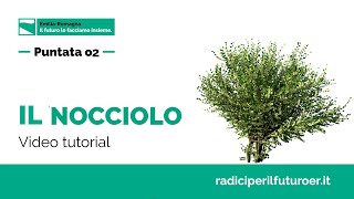 Il nocciolo  Tutorial piantumazione e cura  Mettiamo radici per il futuro [upl. by Valenba14]