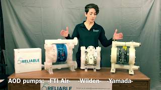 How to Compare FTI Air Wilden and Yamada AODD Pumps [upl. by Anuska]