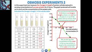 OSMOSIS EXPERIMENTS [upl. by Atiekan]