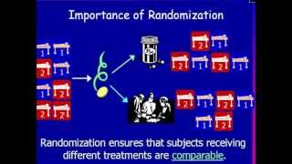 Why Randomization Is Important [upl. by Euqinwahs]