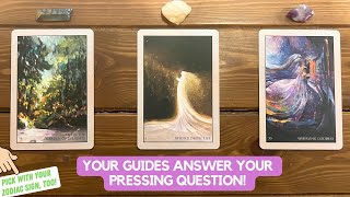 Your Guides Answer Your Pressing Question  Timeless Reading [upl. by Aidnic]