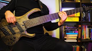 New Day  Karnivool Cover  Bass Progress 479 Hours [upl. by Imojean820]