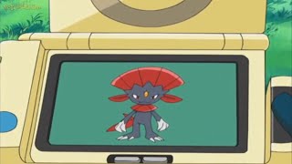 Pokedex 461 Weavile [upl. by Leira]