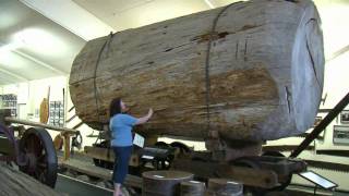 The Kauri Museum Matakohe Northland New Zealand  1 min 3 secs [upl. by Euqor]