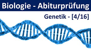 Biologie Abiturprüfung 2024  Aufgaben Genetik 22  Abitur Biologie 416 [upl. by Ojadnama]