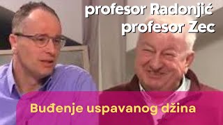 Buđenje uspavanog džina  prof Ognjen Radonjić [upl. by Botnick]